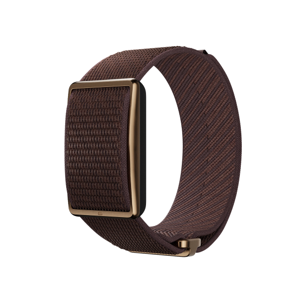 POLAR Loop